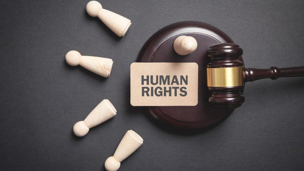 Overview Human Rights Law Firms